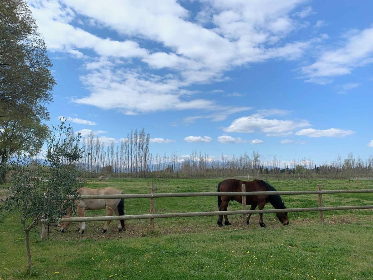 Bed and Breakfast Domaine Castell De Bles Saint-Génis Exterior foto